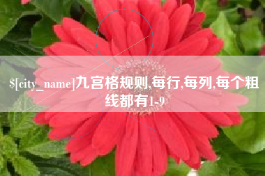 开平九宫格规则,每行,每列,每个粗线都有1-9