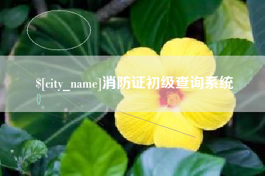 开平消防证初级查询系统