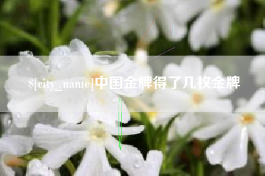 开平中国金牌得了几枚金牌