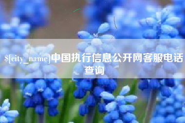 开平中国执行信息公开网客服电话查询