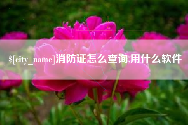 开平消防证怎么查询,用什么软件