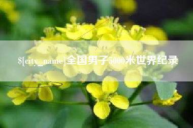 开平全国男子5000米世界纪录