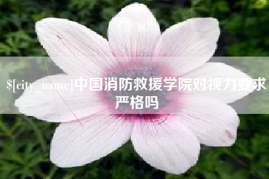 开平中国消防救援学院对视力要求严格吗