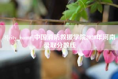 开平中国消防救援学院2020年河南录取分数线