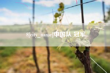 开平中国队 冠军