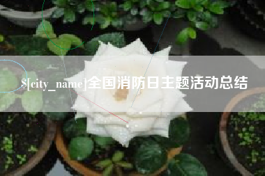 开平全国消防日主题活动总结