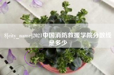开平2021中国消防救援学院分数线是多少