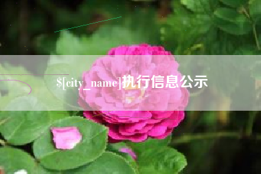 开平执行信息公示
