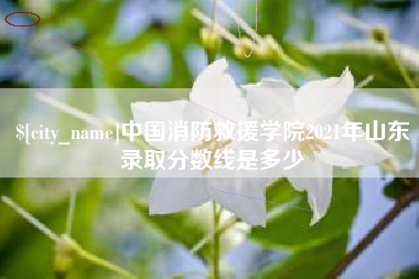 开平中国消防救援学院2021年山东录取分数线是多少