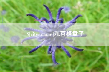 开平九宫格盘子