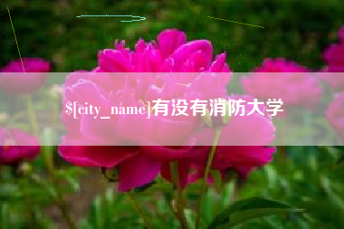 开平有没有消防大学