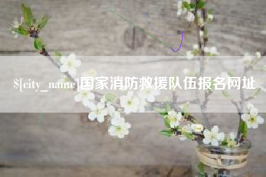开平国家消防救援队伍报名网址