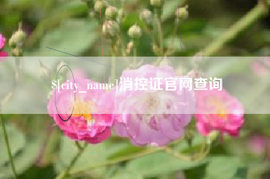 开平消控证官网查询