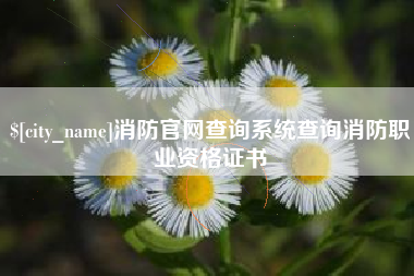 开平消防官网查询系统查询消防职业资格证书