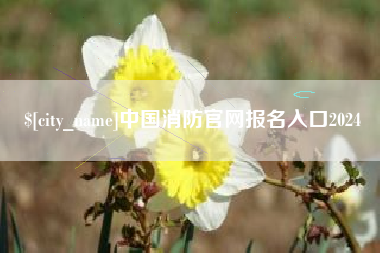 开平中国消防官网报名入口2024