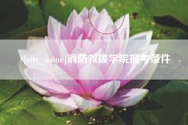 开平消防救援学院报考条件