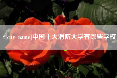 开平中国十大消防大学有哪些学校