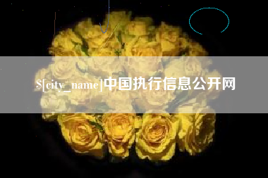 开平中国执行信息公开网