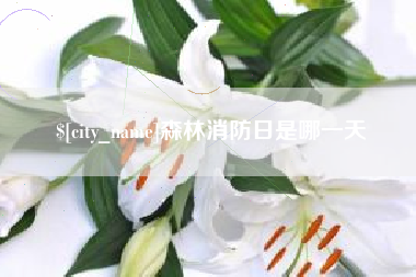 开平森林消防日是哪一天