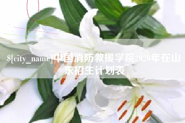 开平中国消防救援学院2020年在山东招生计划表