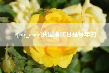 开平我国消防日是每年的