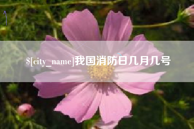 开平我国消防日几月几号