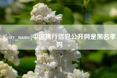 开平中国执行信息公开网是黑名单吗