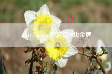 开平奥运会39块金牌
