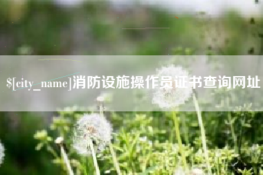 开平消防设施操作员证书查询网址