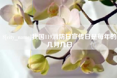 开平我国119消防日宣传日是每年的几月几日