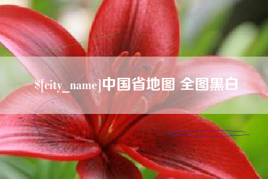 开平中国省地图 全图黑白