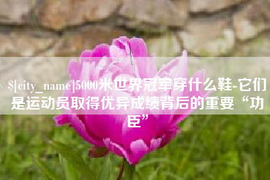 开平5000米世界冠军穿什么鞋-它们是运动员取得优异成绩背后的重要“功臣”