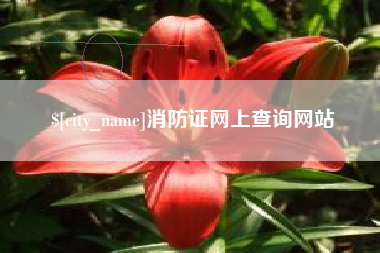 开平消防证网上查询网站