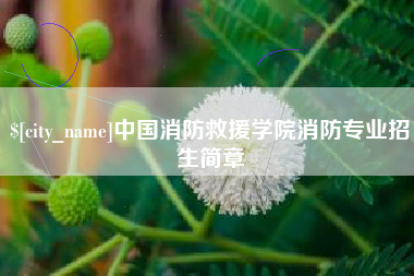 开平中国消防救援学院消防专业招生简章