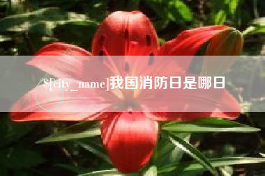 开平我国消防日是哪日