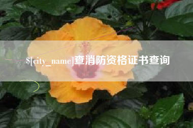 开平查消防资格证书查询