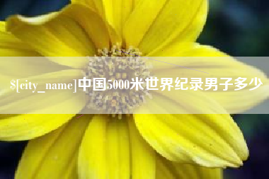 开平中国5000米世界纪录男子多少