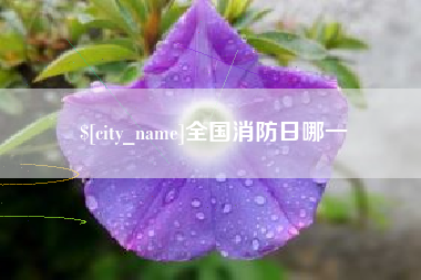 开平全国消防日哪一