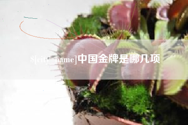 开平中国金牌是哪几项