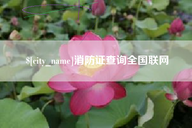 开平消防证查询全国联网