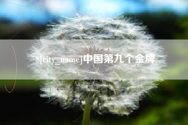 开平中国第九个金牌