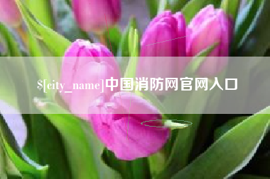 开平中国消防网官网入口
