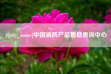 开平中国消防产品信息查询中心