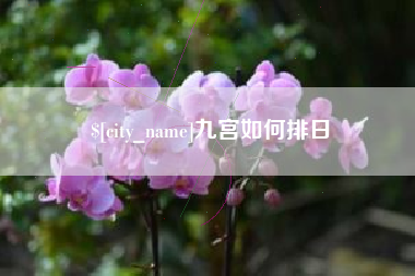 开平九宫如何排日