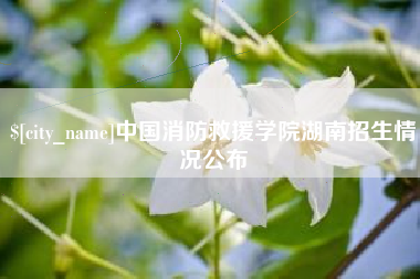 开平中国消防救援学院湖南招生情况公布