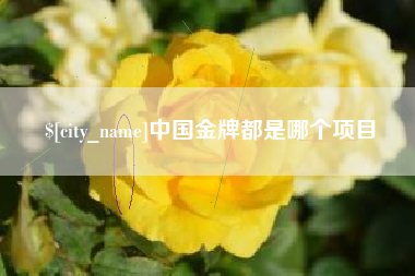 开平中国金牌都是哪个项目