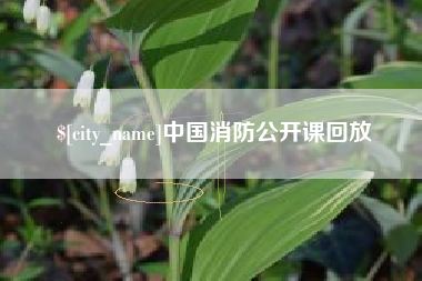 开平中国消防公开课回放