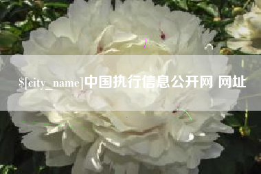 开平中国执行信息公开网 网址