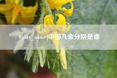 开平中国九金分别是谁
