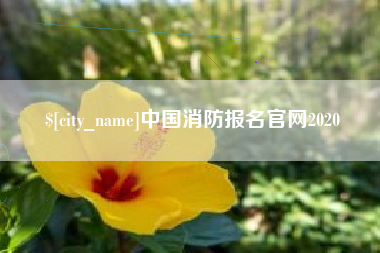开平中国消防报名官网2020